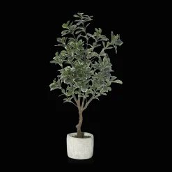 Best Bouclair Large Artificial Aralia Tree