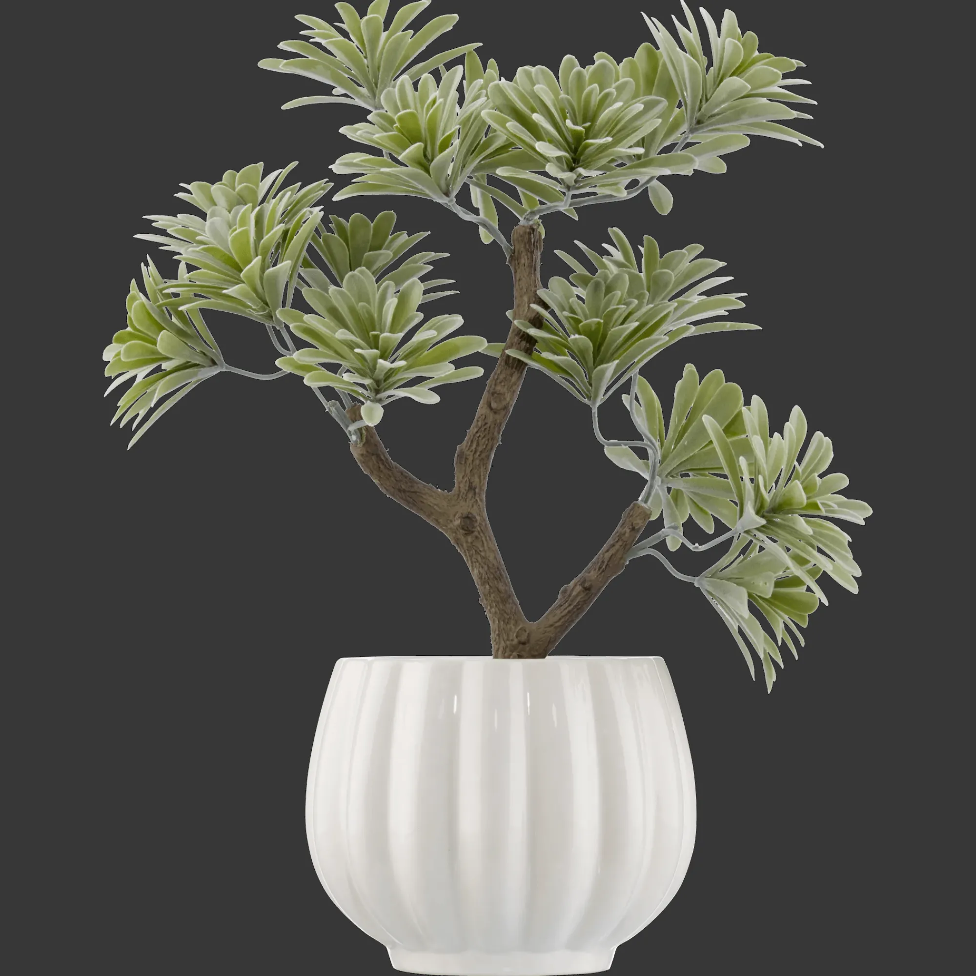 Outlet Bouclair Lotus in Ceramic Pot