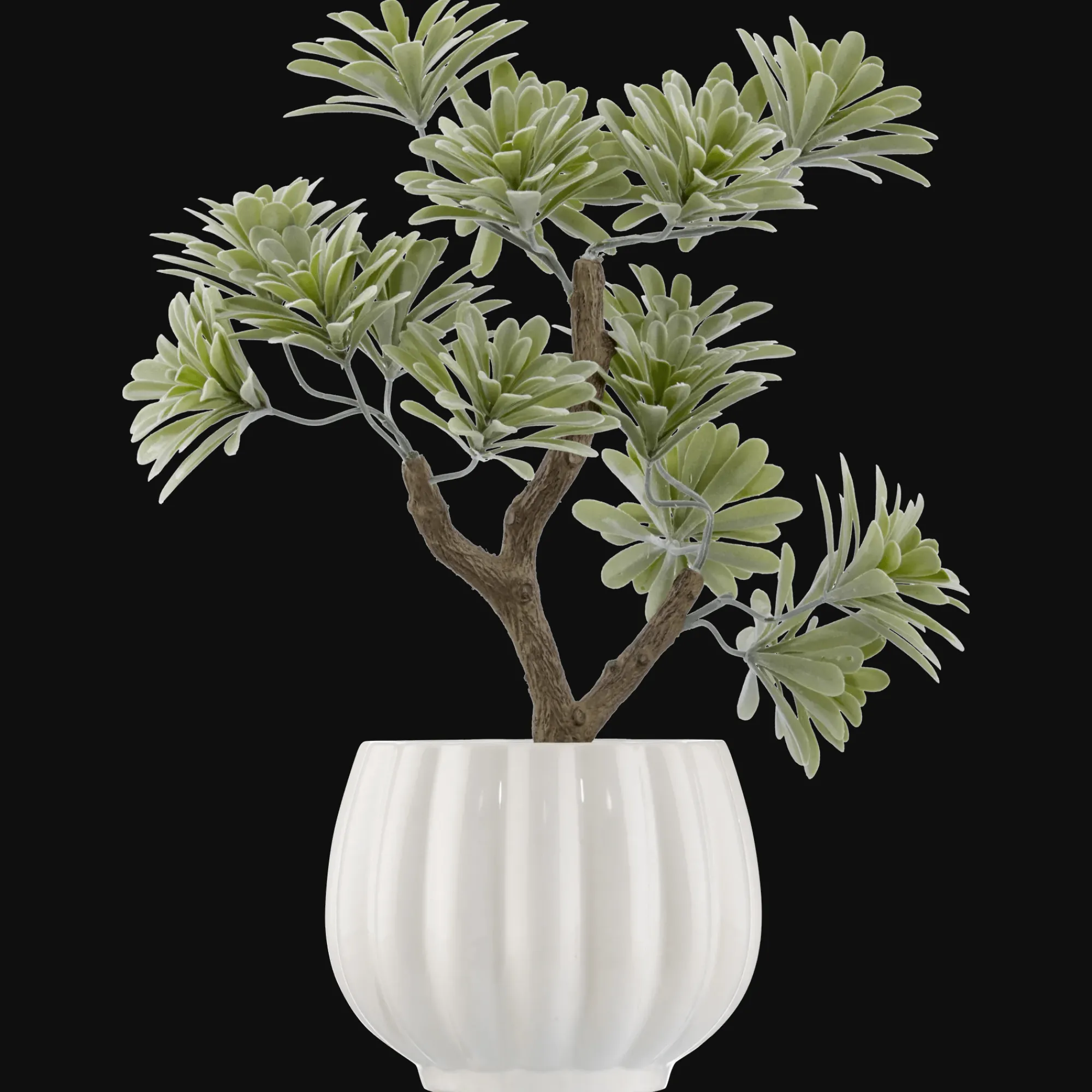Outlet Bouclair Lotus in Ceramic Pot
