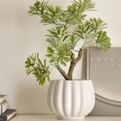 Outlet Bouclair Lotus in Ceramic Pot