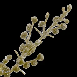 Discount Bouclair Mini Pot of Greenery