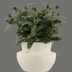 Discount Bouclair Olive Plant in Ceramic Pot