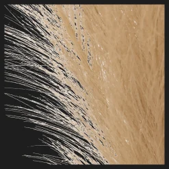 Discount Bouclair Pampas Bouquet in Vase