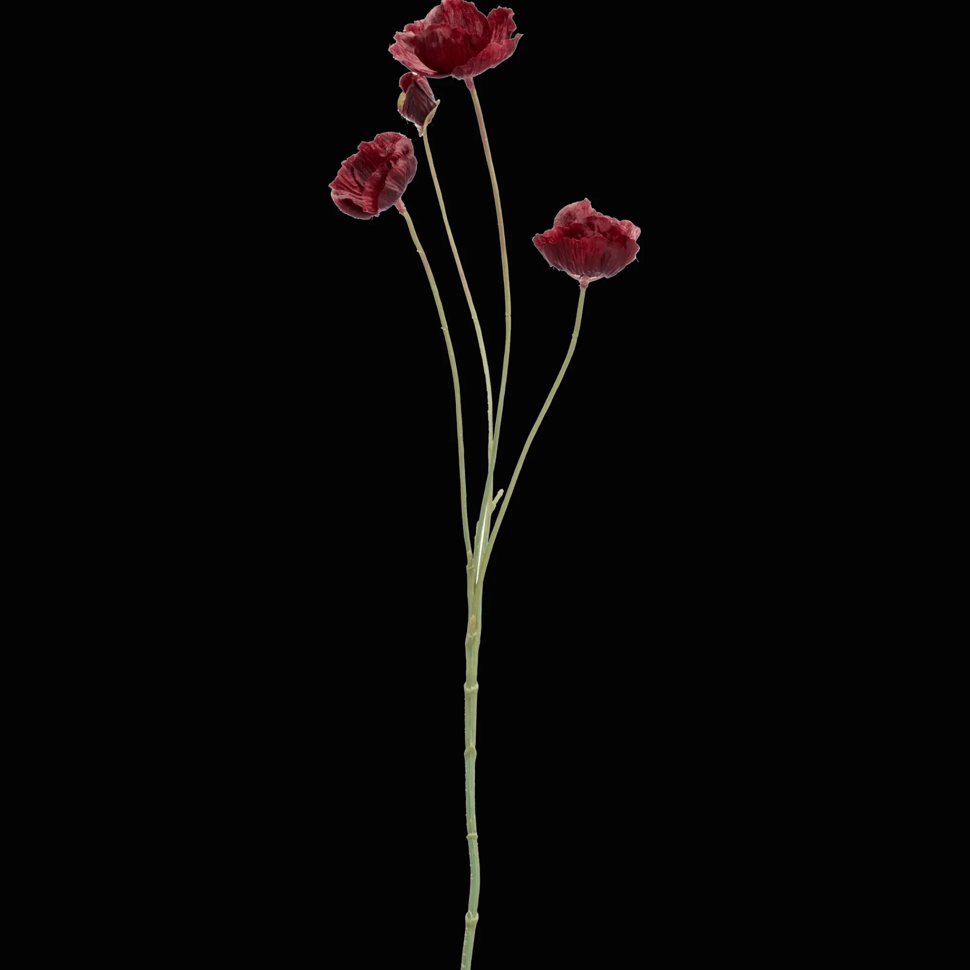 Hot Bouclair Plum Poppy Stem