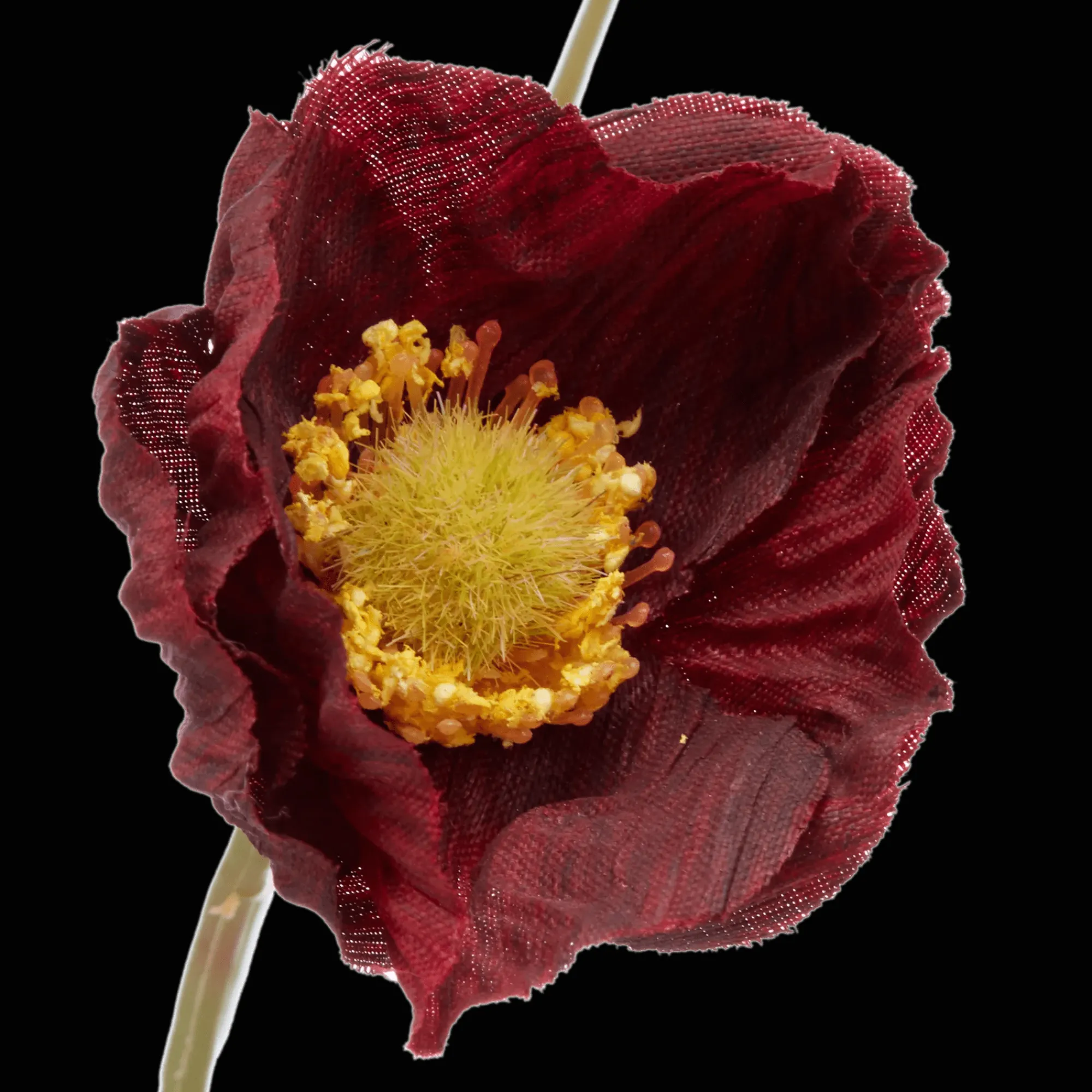 Hot Bouclair Plum Poppy Stem