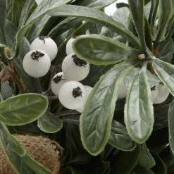 Online Bouclair Potted Artificial Plant with White Berries