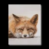 Clearance Bouclair Sleeping Fox Wall Art