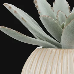 Clearance Bouclair Succulent in Ceramic Pot