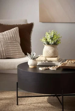 Clearance Bouclair Succulent in Ceramic Pot