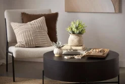 Clearance Bouclair Succulent in Ceramic Pot