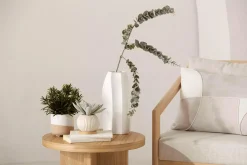 Clearance Bouclair Succulent in Ceramic Pot