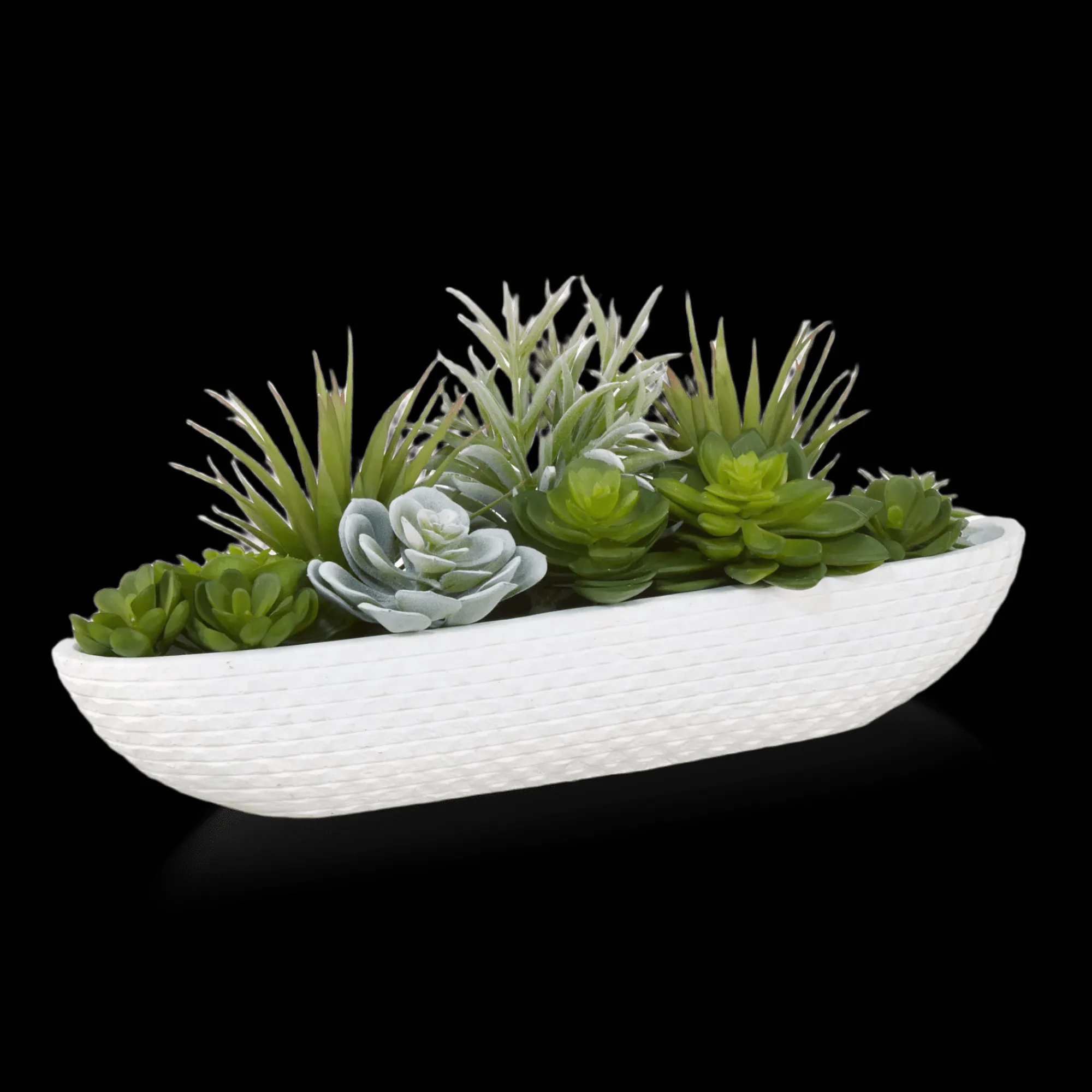 Online Bouclair Succulents in Cement Tray