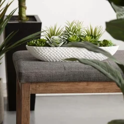 Online Bouclair Succulents in Cement Tray