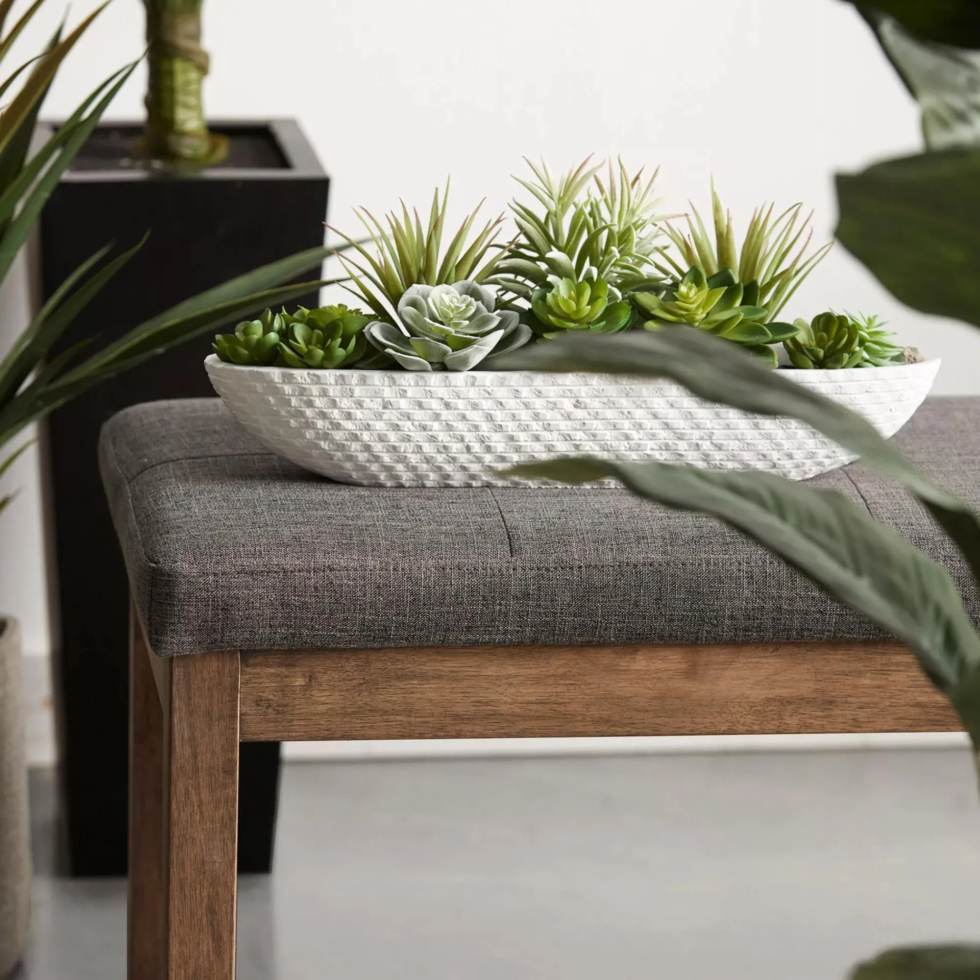 Online Bouclair Succulents in Cement Tray