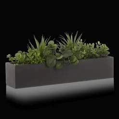 Hot Bouclair Succulents in Ceramic Pot