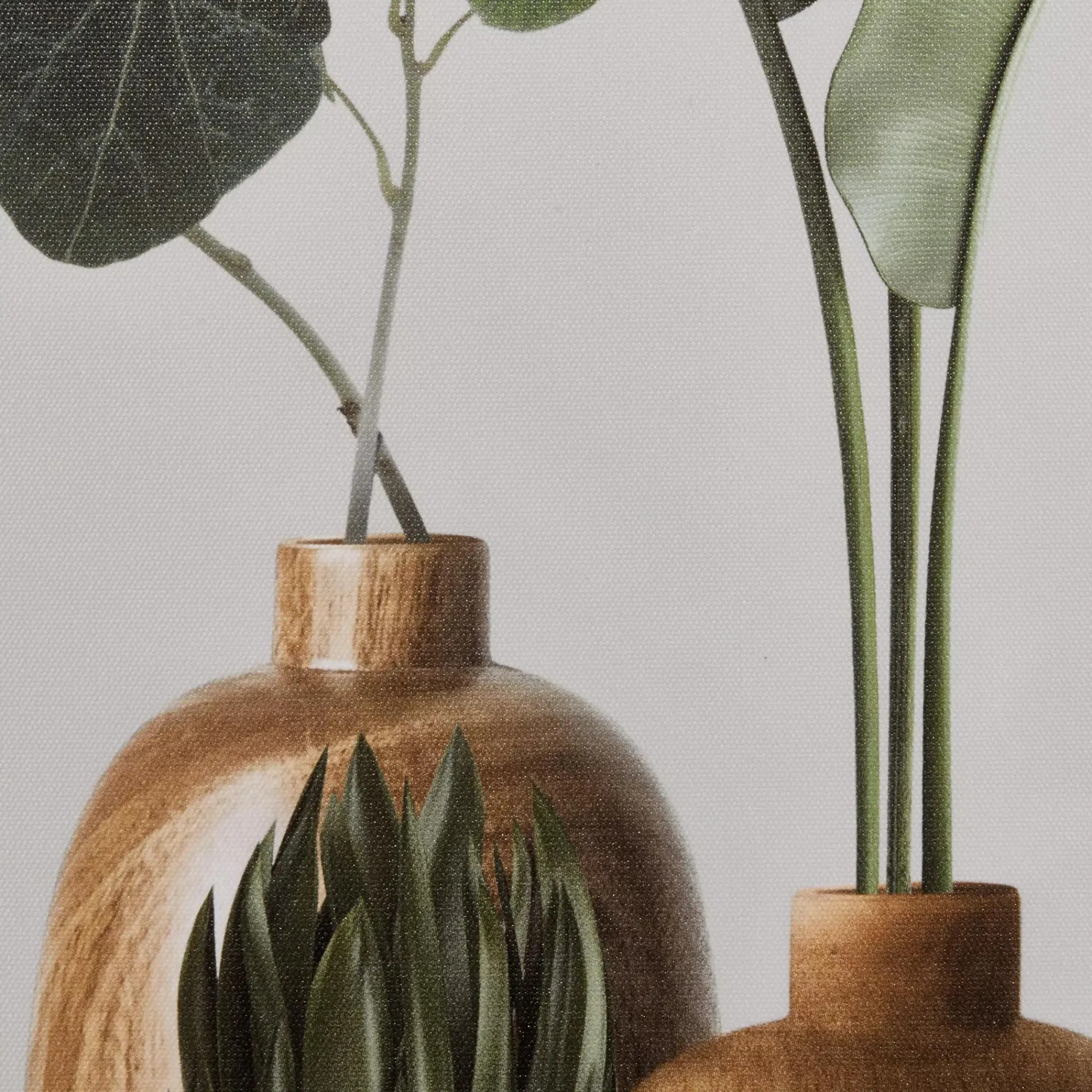 Sale Bouclair Succulents in Wood Vase Printed Framed Canvas