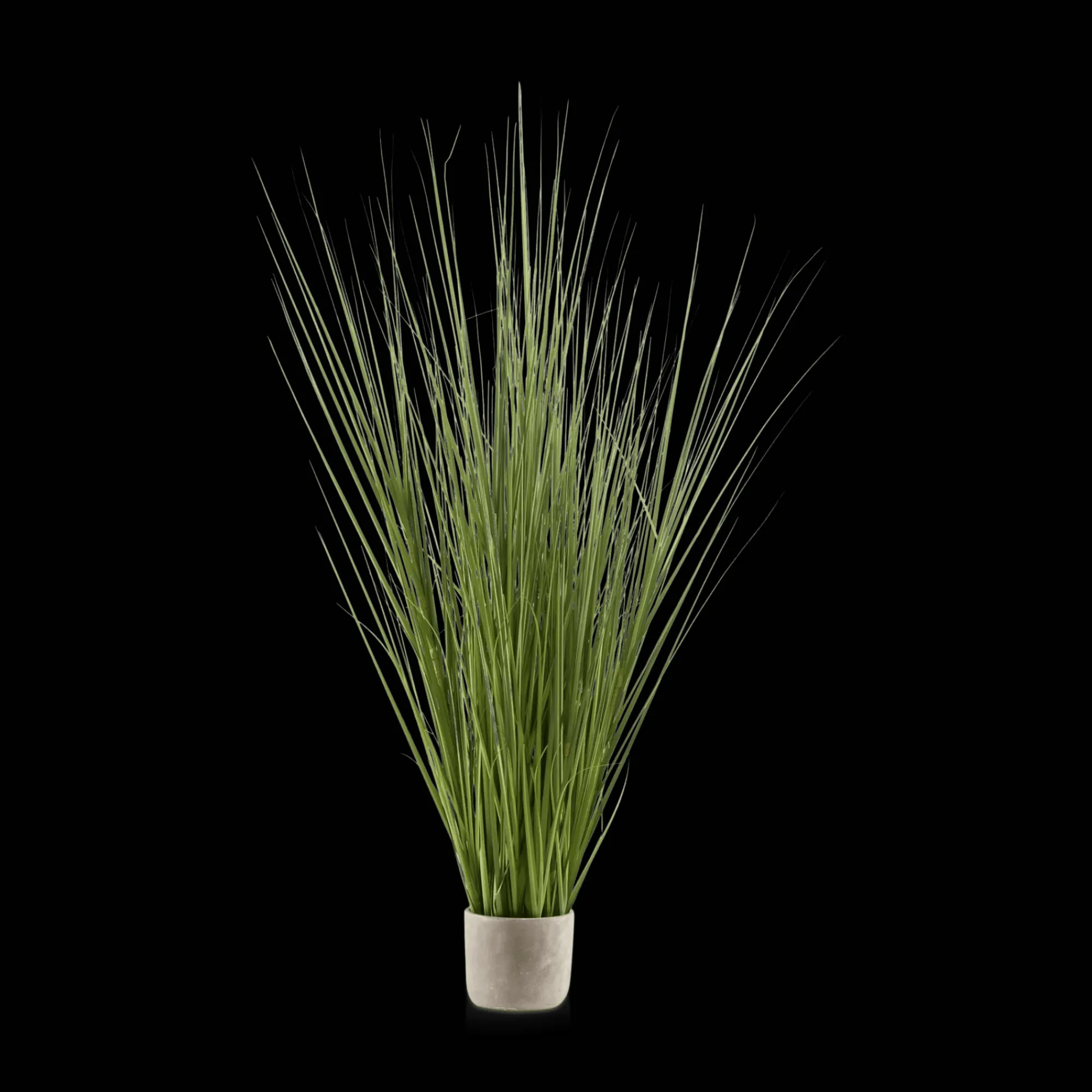Online Bouclair Tall Grass in Cement Pot