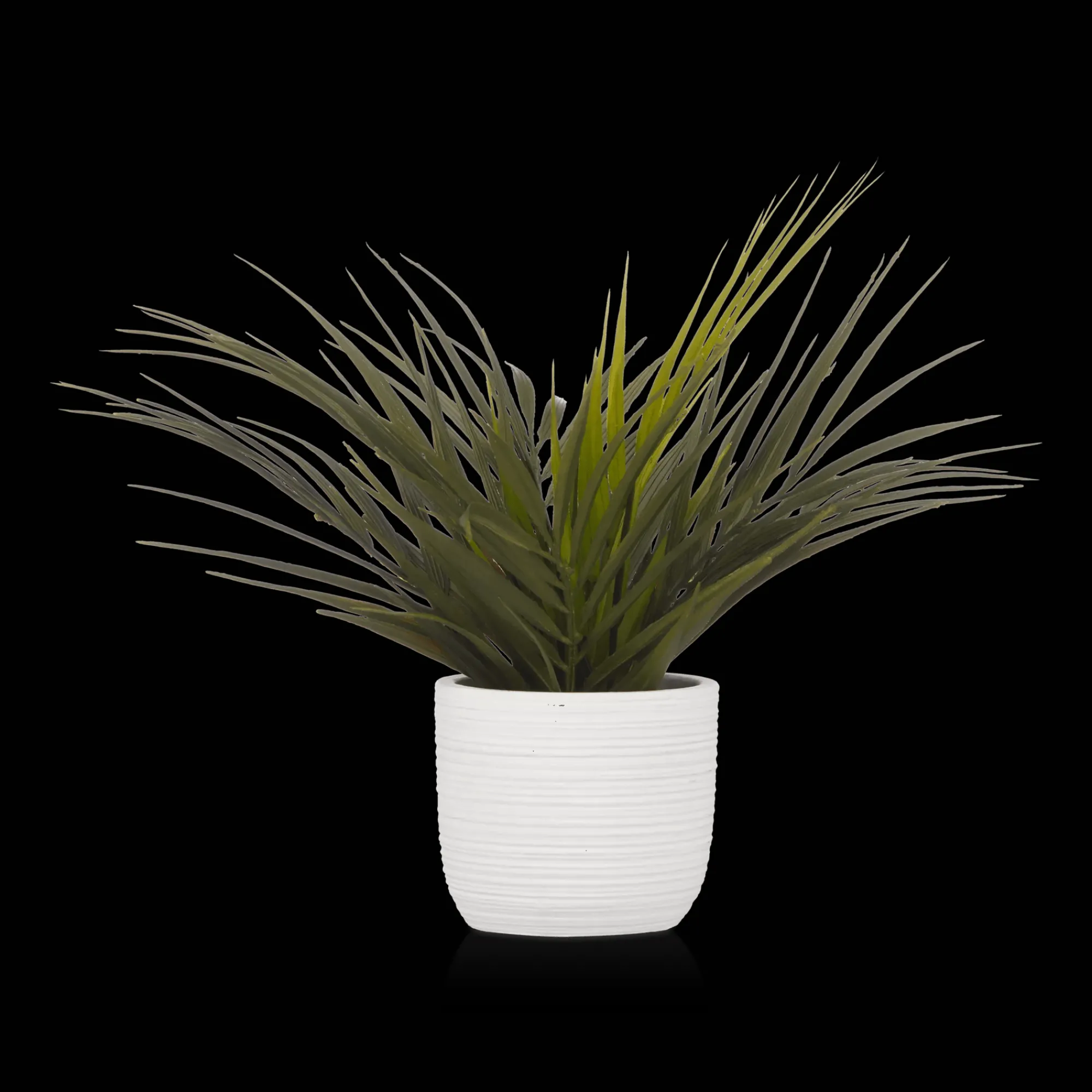 Hot Bouclair Textured Ceramic Potted Tropical Plant