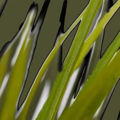 Hot Bouclair Textured Ceramic Potted Tropical Plant