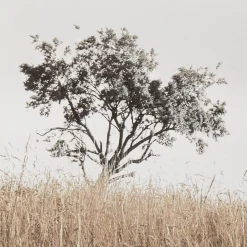 Discount Bouclair Typography Framed Art