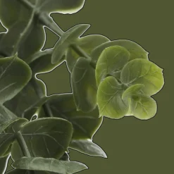 Clearance Bouclair Waterfall Eucalyptus in Black Pot