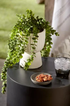 Clearance Bouclair Waterfall Eucalyptus in White Hourglass Pot