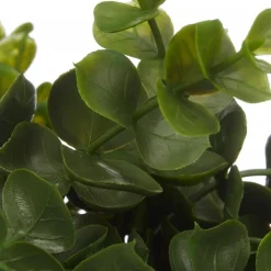 Clearance Bouclair Waterfall Eucalyptus in White Hourglass Pot