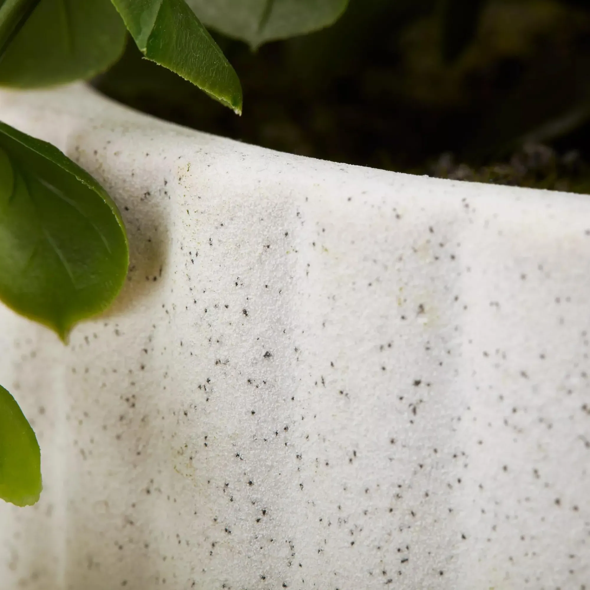 Clearance Bouclair Waterfall Eucalyptus in White Hourglass Pot