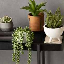 Clearance Bouclair Waterfall Plant in Cement Pot