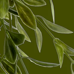 Sale Bouclair Waterfall Plant in Ceramic Pot