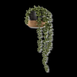 Discount Bouclair Waterfall Plant in Ceramic Pot