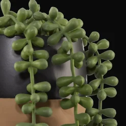 Discount Bouclair Waterfall Plant in Ceramic Pot